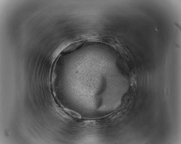 X0000100230052200806061419