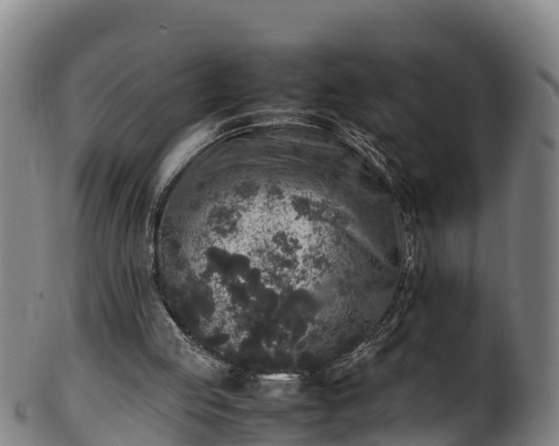 X0000100230053200806061419