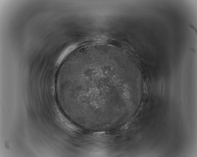 X0000100230054200806061419