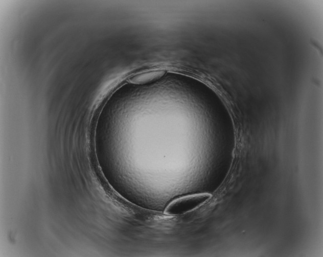 X0000100230055200806061419