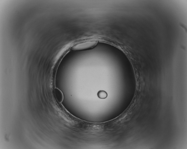 X0000100230056200806061419