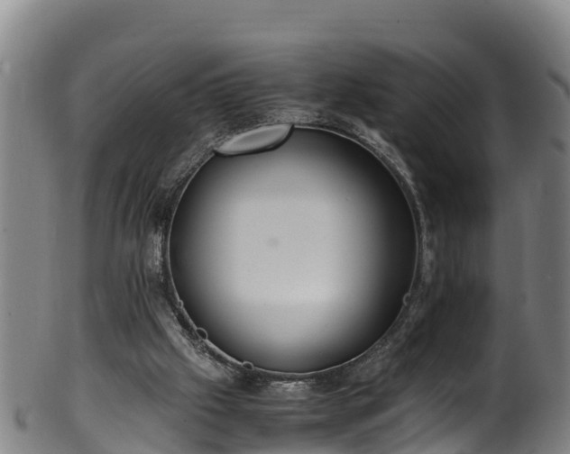 X0000100230057200806061419