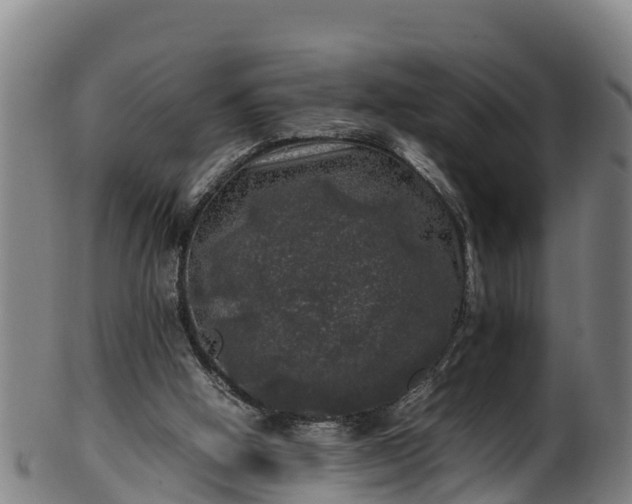 X0000100230058200806061419