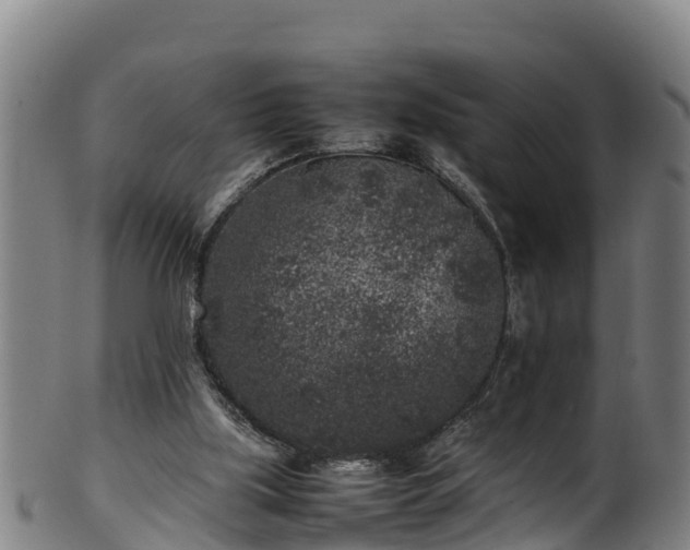 X0000100230059200806061419