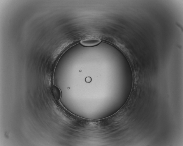 X0000100230060200806061419