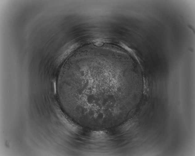 X0000100230061200806061419