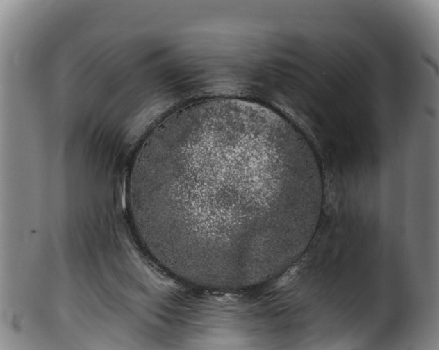 X0000100230062200806061419