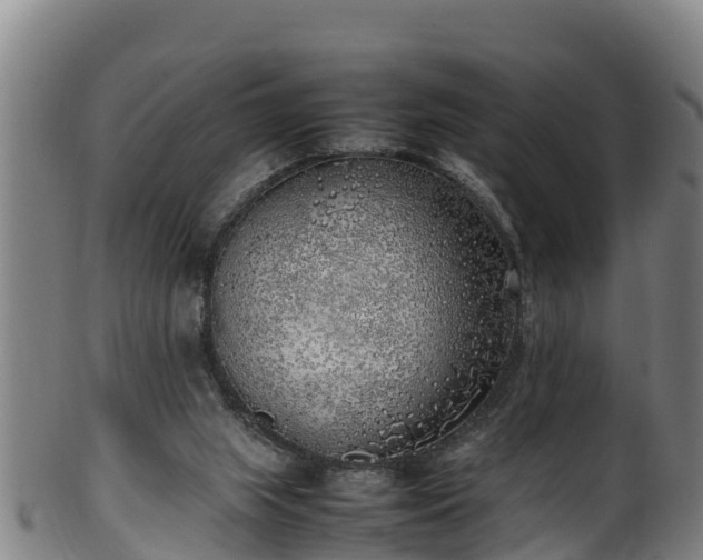 X0000100230063200806061419