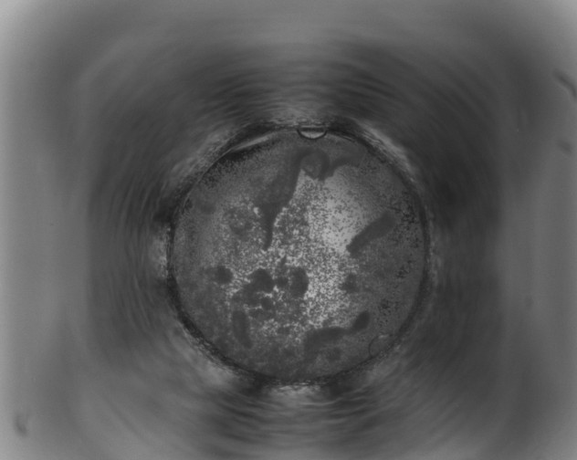 X0000100230065200806061419