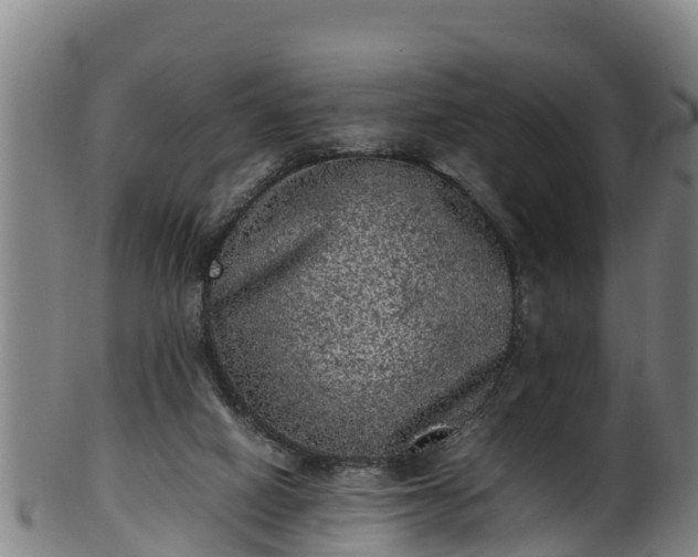 X0000100230066200806061419