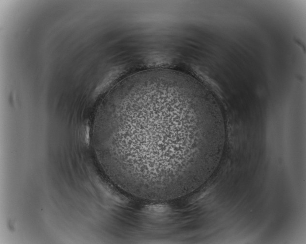 X0000100230067200806061419