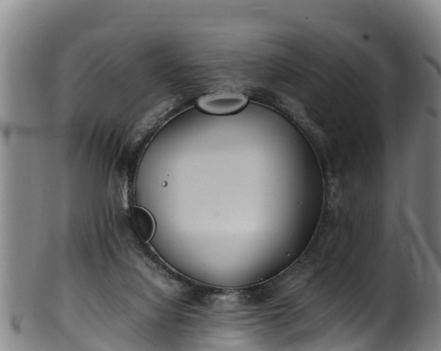 X0000100230068200806061419