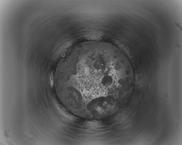 X0000100230069200806061419