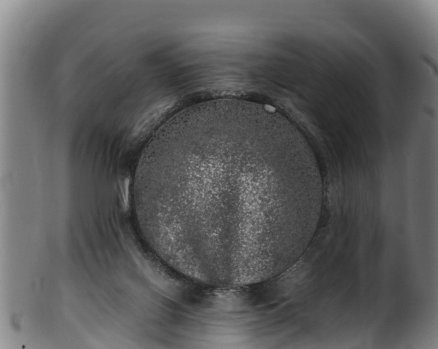 X0000100230070200806061419