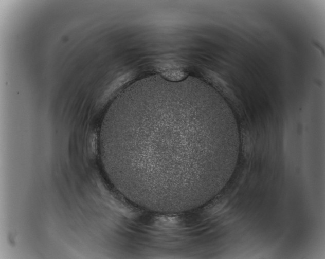 X0000100230071200806061419