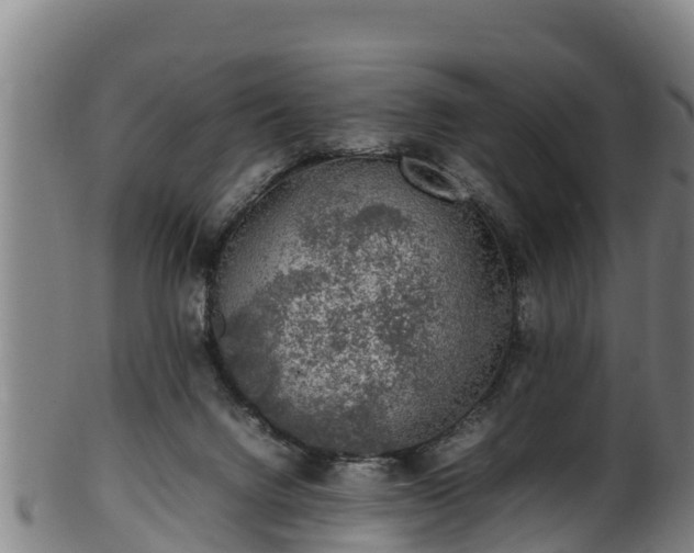 X0000100230072200806061419