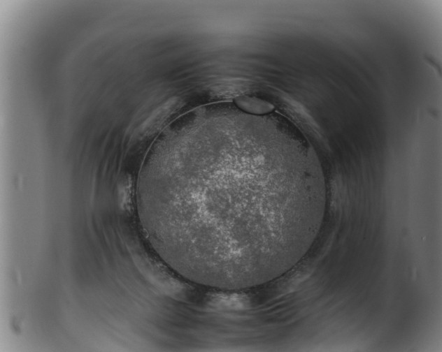 X0000100230073200806061419