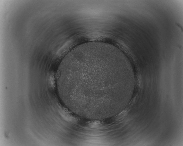 X0000100230074200806061419