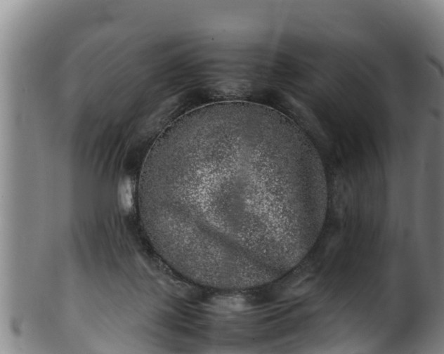 X0000100230075200806061419