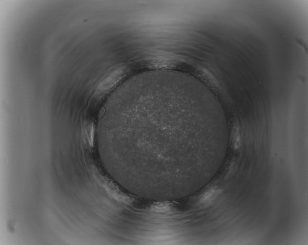 X0000100230076200806061419