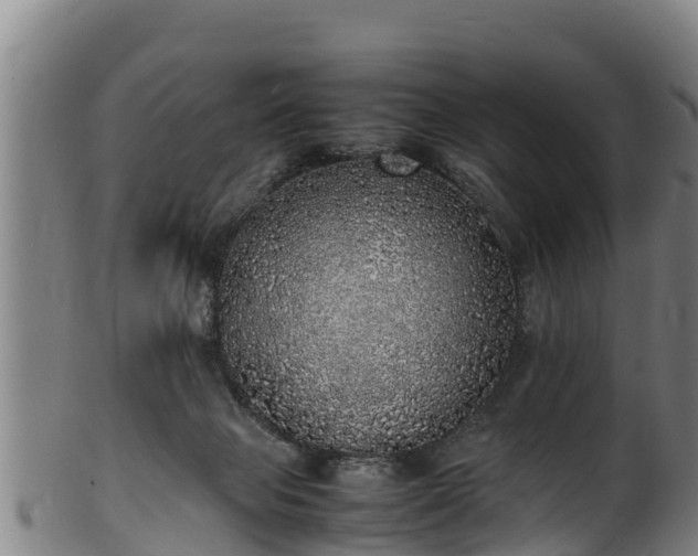 X0000100230077200806061419