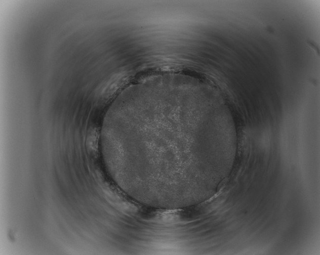 X0000100230078200806061419