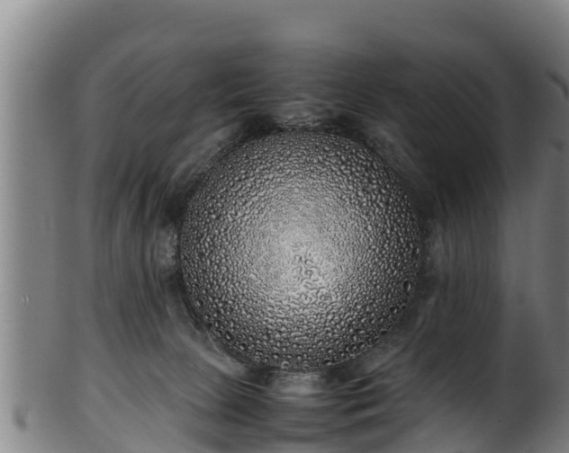 X0000100230081200806061419