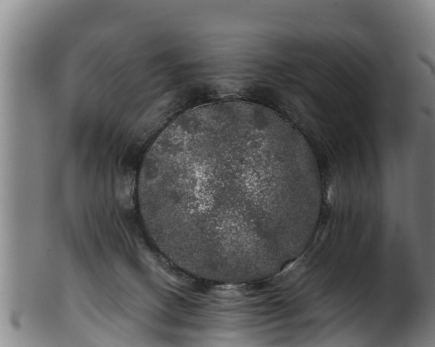 X0000100230082200806061419