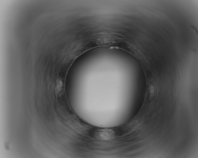 X0000100230087200806061419