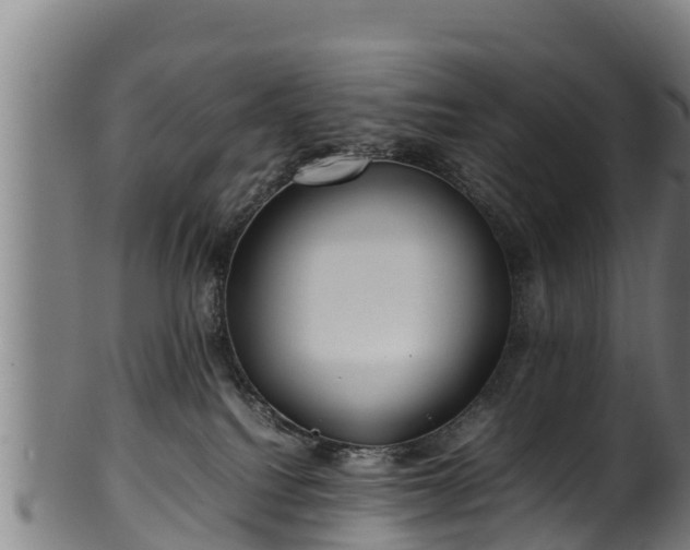 X0000100230088200806061419