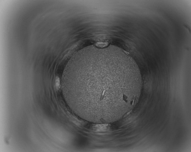 X0000100230089200806061419