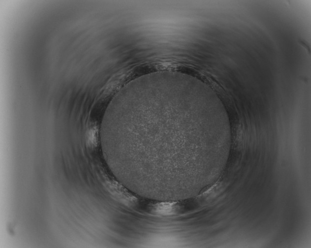 X0000100230090200806061419