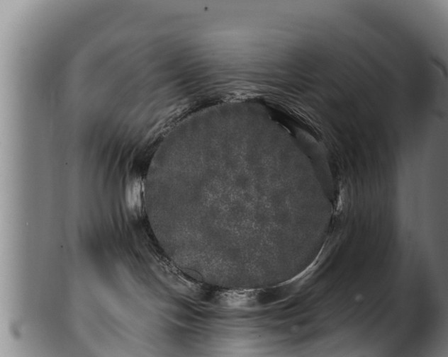 X0000100230094200806061419