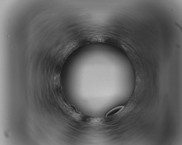 X0000100230096200806061419