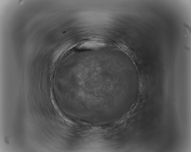 X0000100230097200806061419