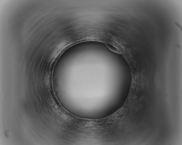 X0000100230098200806061419