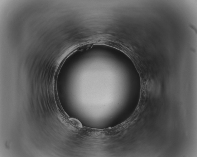 X0000100230100200806061419