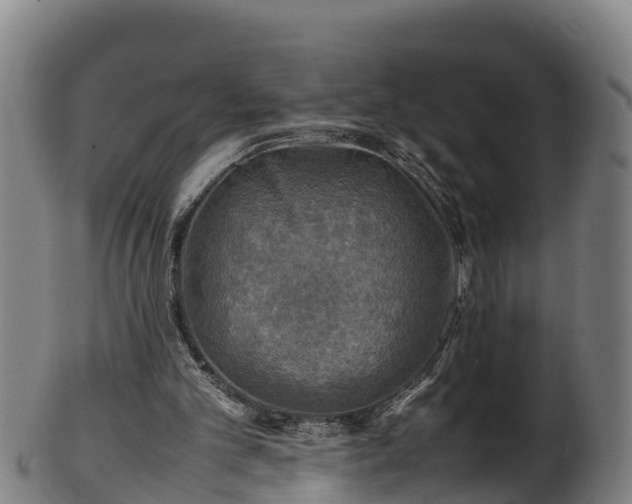 X0000100230101200806061419