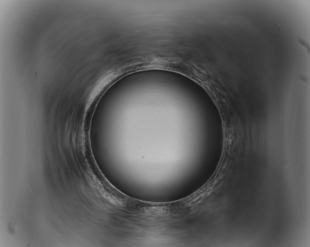 X0000100230102200806061419