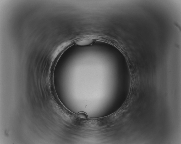 X0000100230104200806061419