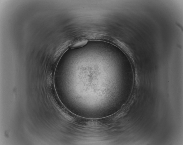 X0000100230105200806061419