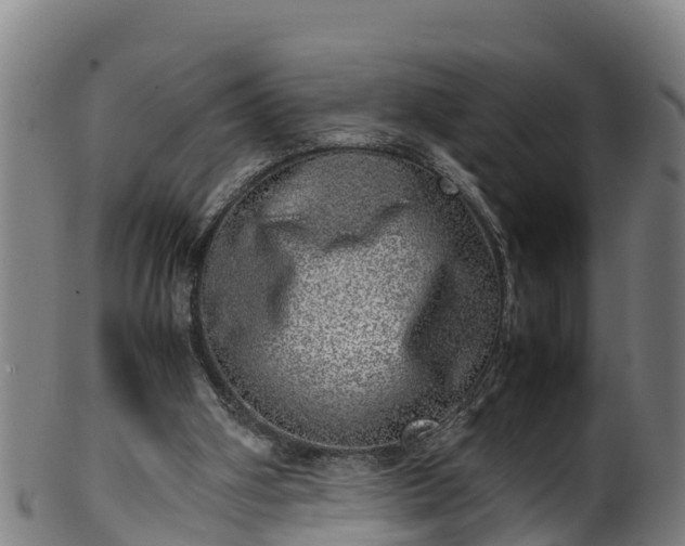 X0000100230106200806061419