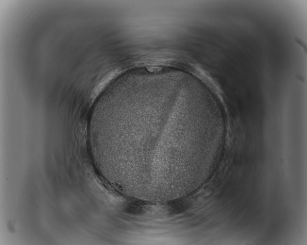 X0000100230107200806061418