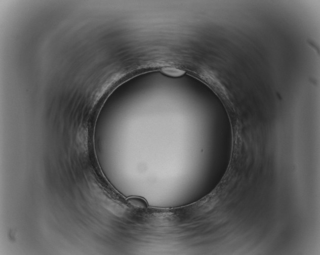 X0000100230108200806061418