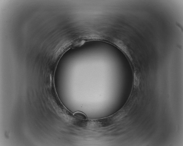 X0000100230109200806061418