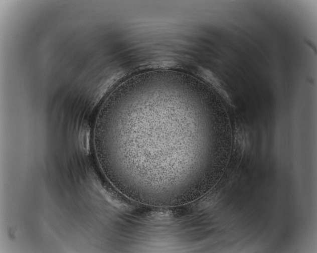 X0000100230110200806061418