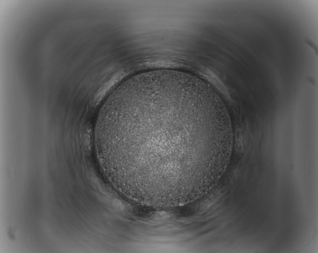 X0000100230111200806061418