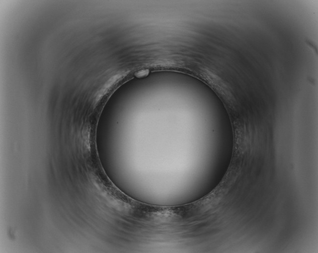 X0000100230112200806061418