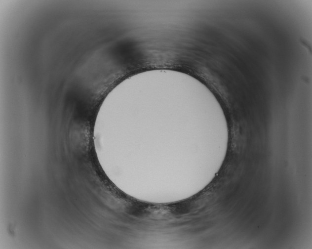 X0000100230113200806061418