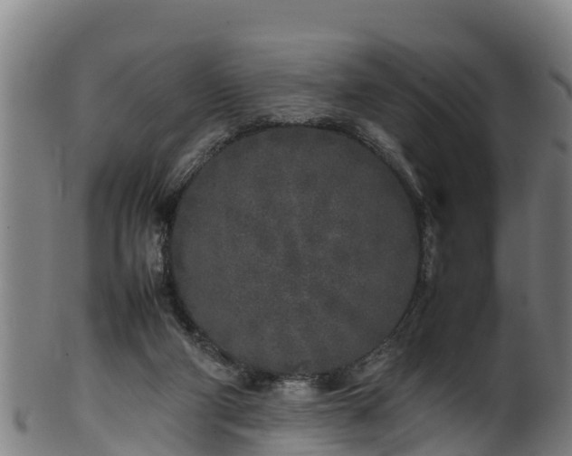 X0000100230114200806061418